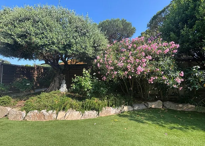 St Joseph * Сен-Тропе